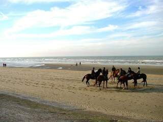 Appartement Blankenberge Omgeving 26