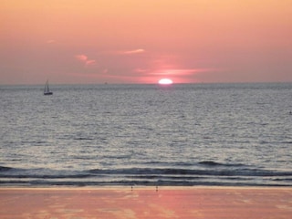 Appartement Wenduine Environnement 22