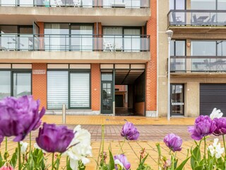 Apartment Wenduine Outdoor Recording 8