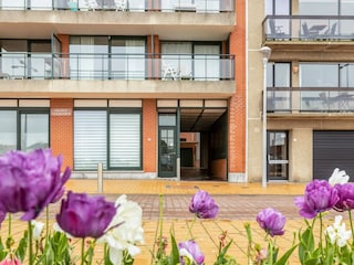 Appartement Wenduine Buitenaudio-opname 8