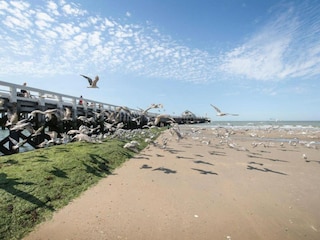 Appartement Blankenberge Environnement 39