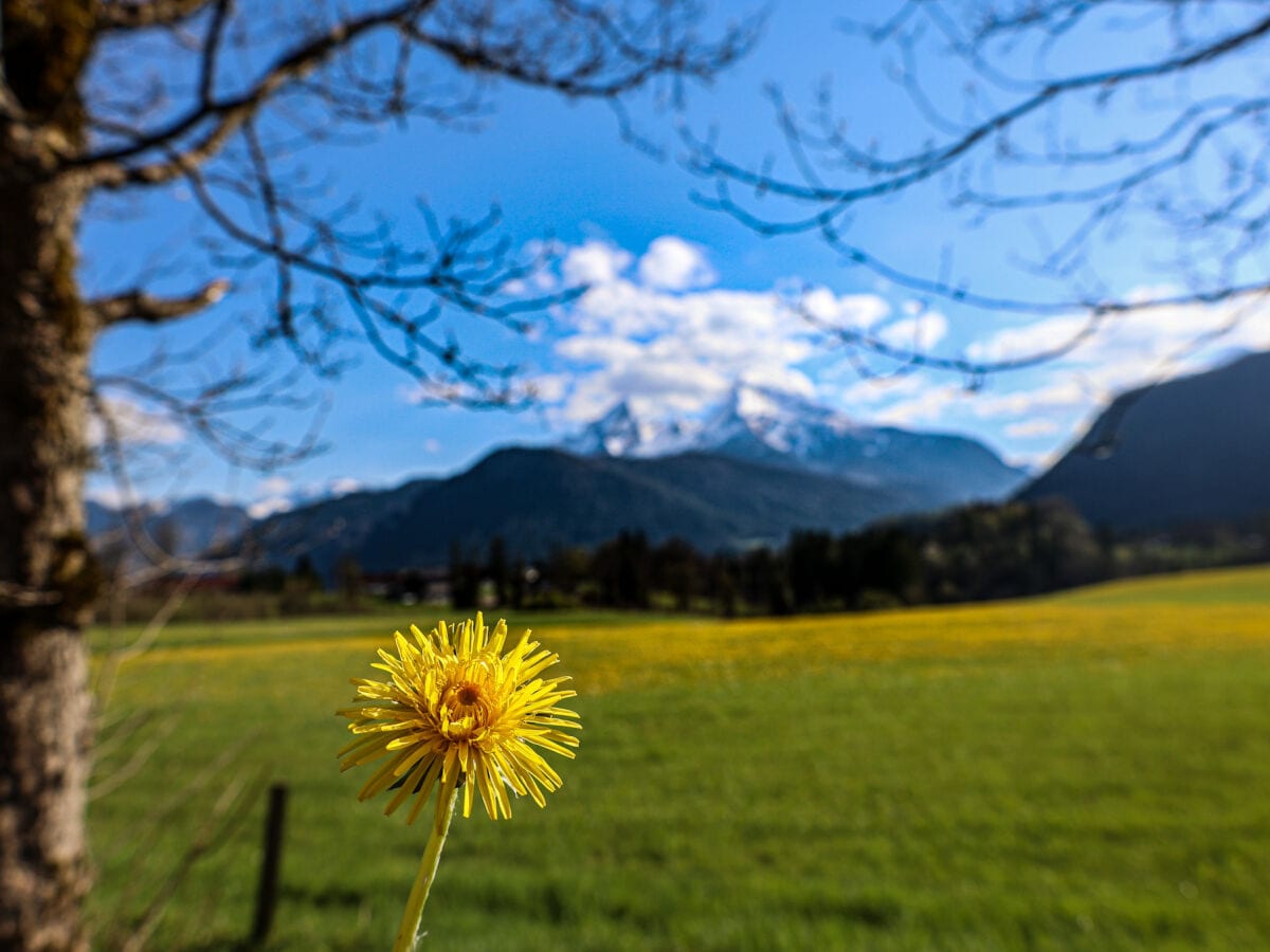 Frühling