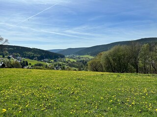 Apartment Breitenbrunn im Erzgebirge Umgebung 13