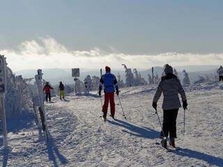 Apartamento Breitenbrunn im Erzgebirge Entorno 27
