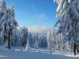Appartement Breitenbrunn im Erzgebirge Environnement 21