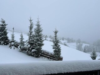 Apartment Breitenbrunn im Erzgebirge Umgebung 31