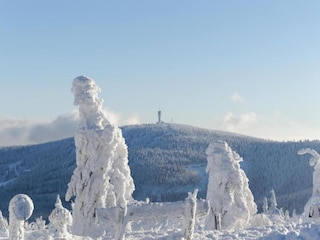 Apartment Breitenbrunn im Erzgebirge Environment 30