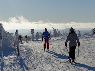 Apartment Breitenbrunn im Erzgebirge Umgebung 32