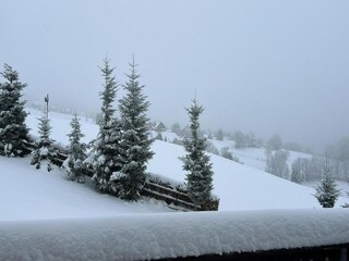 Apartment Breitenbrunn im Erzgebirge Environment 34