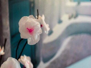 Appartement Llucmayor  22