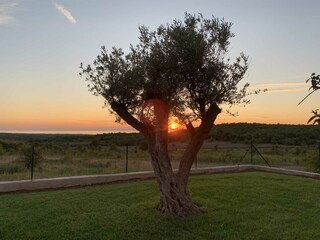 Villa Višnjan Außenaufnahme 15