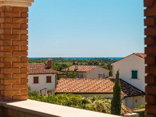 Villa Vabriga Registrazione all'aperto 9