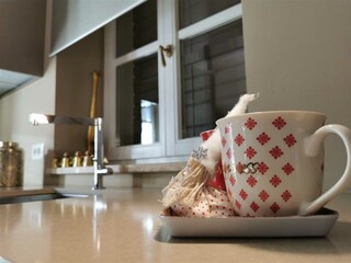 Villa Vabriga Caratteristiche 13