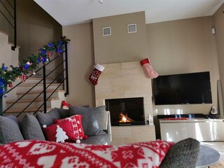 Villa Vabriga Caratteristiche 17