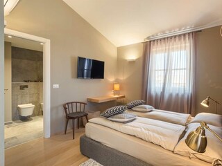 Villa Vabriga Caratteristiche 26