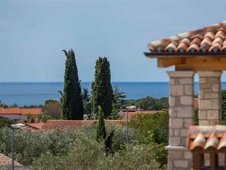 Villa Vabriga Features 10