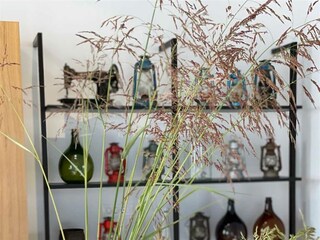 Villa Vabriga Caratteristiche 22