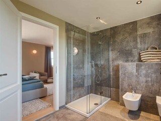 Villa Vabriga Caratteristiche 28