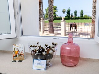 Villa Catral Ausstattung 28