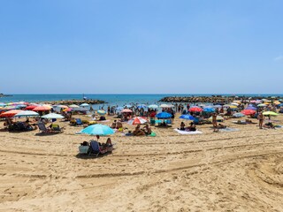 Apartment Torrevieja Umgebung 16