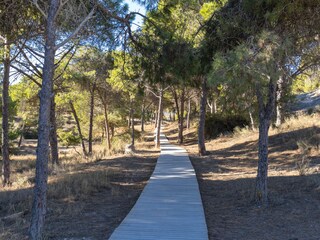 Bungalow La Mata Umgebung 25