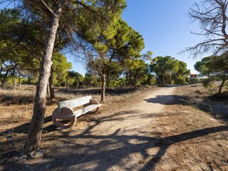 Bungalow La Mata Umgebung 29