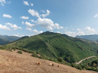 Terraced house Cosgaya Outdoor Recording 9