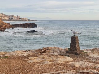 Villa Torrevieja Umgebung 59