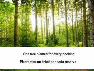 Chalet Guardamar del Segura  30