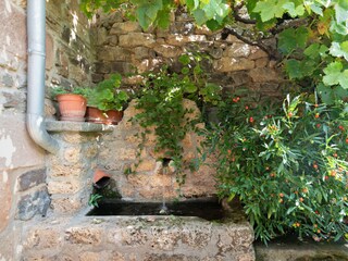 Villa Cosgaya Environment 21