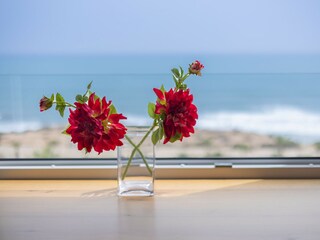 Apartment Punta Prima Environment 26