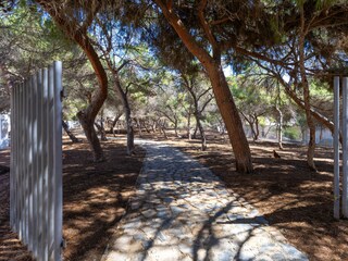 Apartment Guardamar del Segura Environment 22