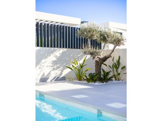 Villa Algorfa Außenaufnahme 12