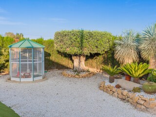 Holiday cottage Catral Environment 34