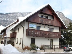 Holiday apartment Na vasi - Winter - Bohinjska Bistrica - image1