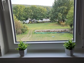 Blick in den Garten