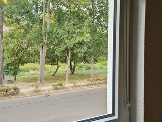 Blick auf´s Nahe-Ufer