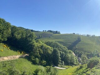 Fattoria Saint Marie Aux Mines Registrazione all'aperto 9