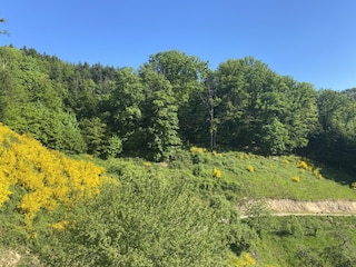 Aussicht