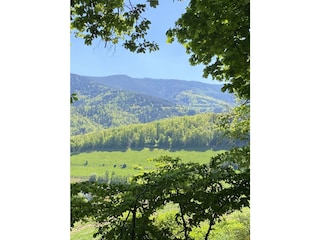 Wandergebiet direkt vor der Haustuere