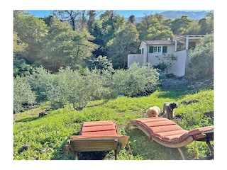 Holiday house Procchio Outdoor Recording 10