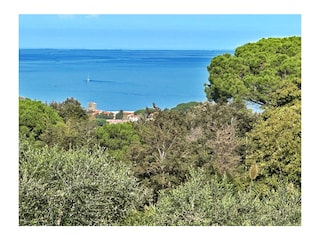 Holiday house Procchio Outdoor Recording 3