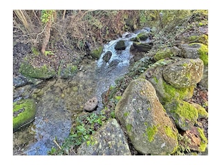 Holiday house Procchio Outdoor Recording 11