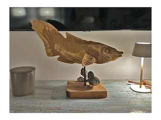 Holiday house Procchio Features 21