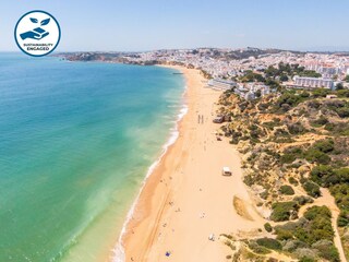 Appartement Albufeira Environnement 25