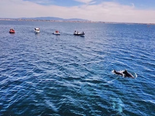 Villa Olhos de Agua  19