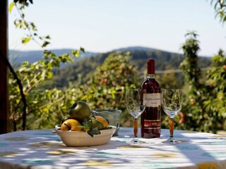 Südterrasse mit Weitblick auf Berge & Wälder.
