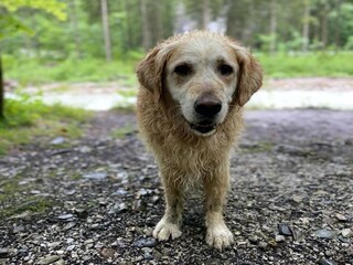 Apartment Hollersbach im Pinzgau  33