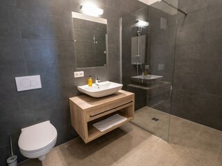 Apartment Fieberbrunn Features 14