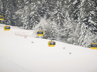 Appartamento Fieberbrunn Ambiente 18